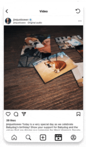 Instagram campaign, showcasing Babydog's birthday, beloved bulldog of Jim Justice. Video was made by Push Digital's creative services. The gif is part of the Push Digital website header.